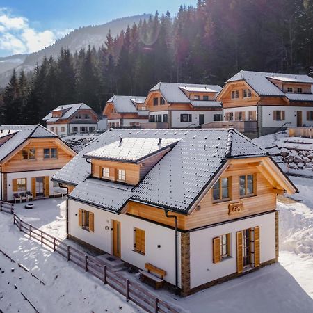 Chalet Pretzel Donnersbachwald Extérieur photo